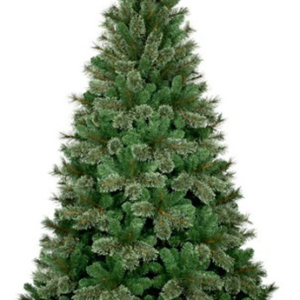 Forest Green Pine tree