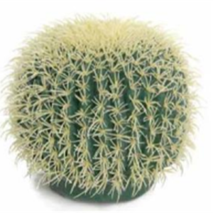 Barrel Cactus Prop Rental