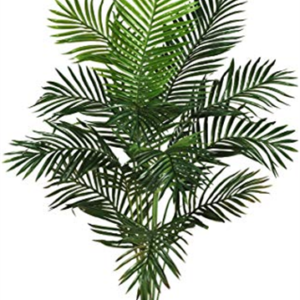 Palm Tree Prop